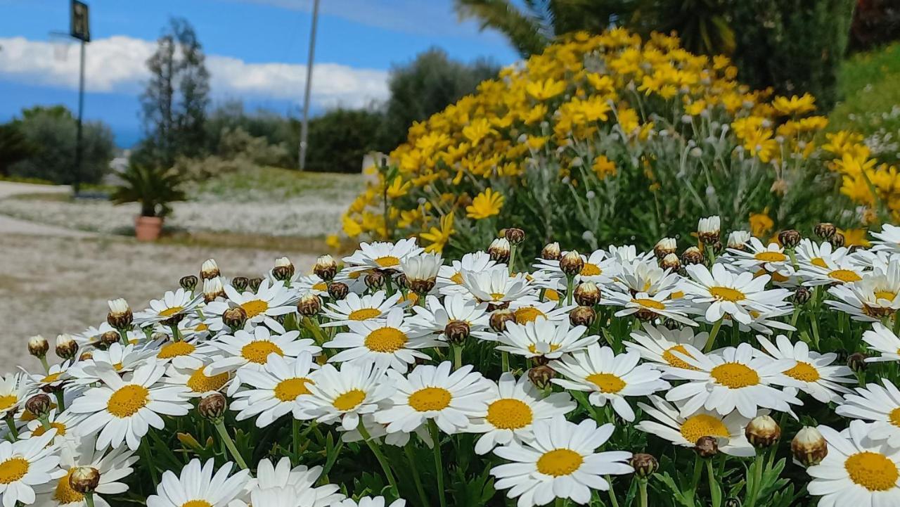 Profumo di Campagna Bed and Breakfast Colonnella Esterno foto